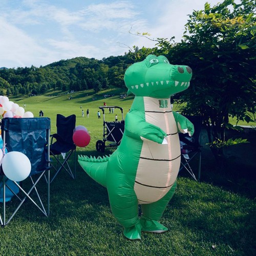 Inflatable costume dress - costume, up