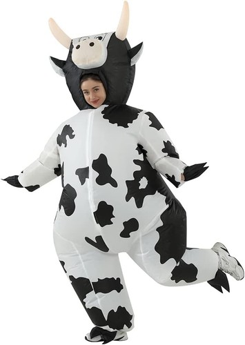 Inflatable costume fancy - fancy, dress