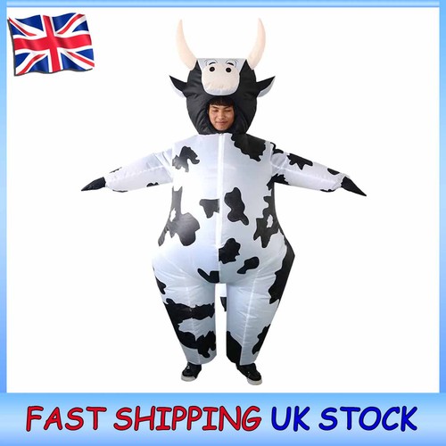 Inflatable fancy dress - fancy, costume